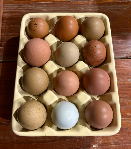 Eggs (1 dozen)